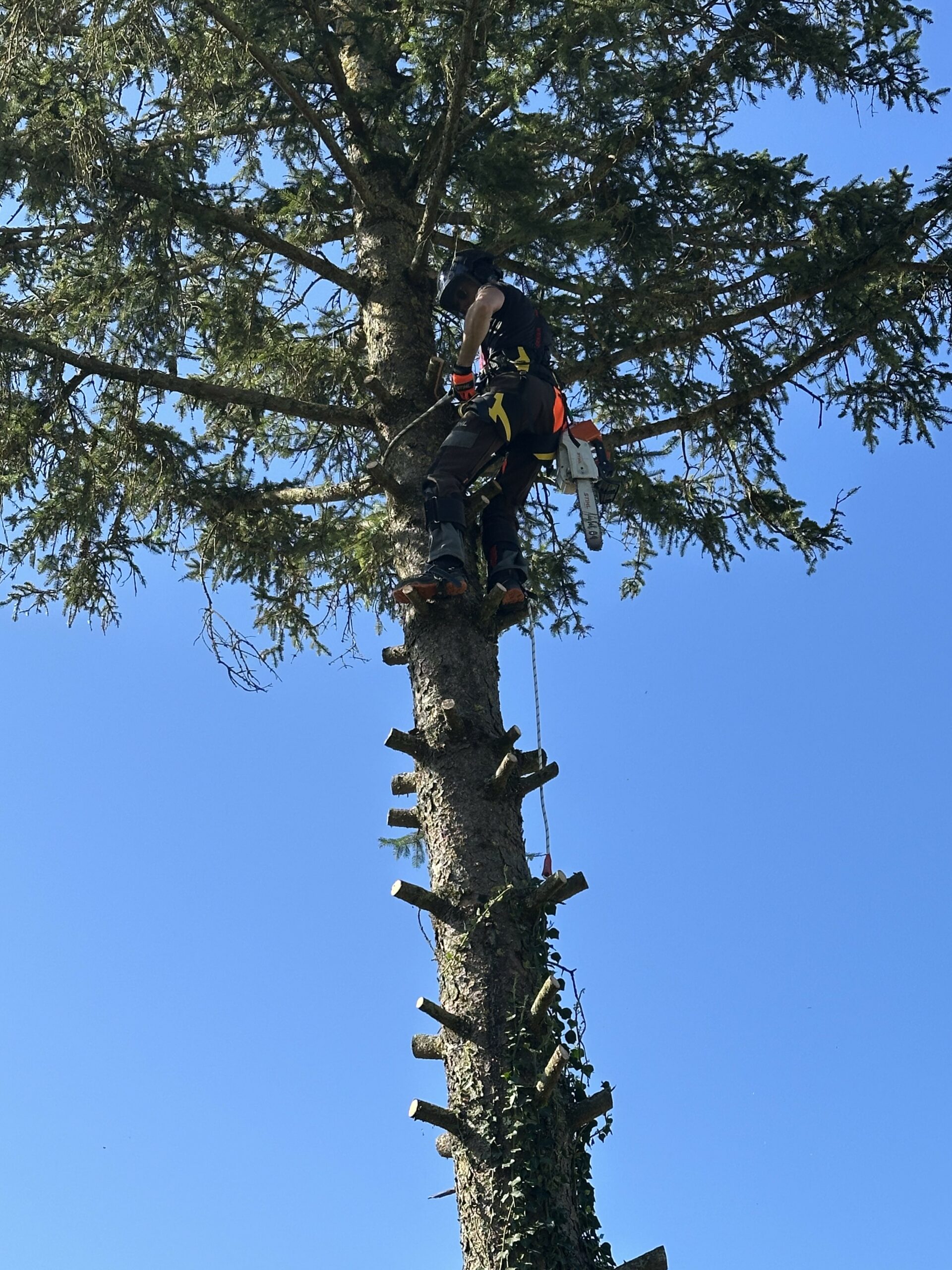 HAUTEUR & NATURE — ENTREPRISE SPÉCIALISÉE DANSLE DÉBROUSSAILLAGE (TROYES | AUBE | YONNE)