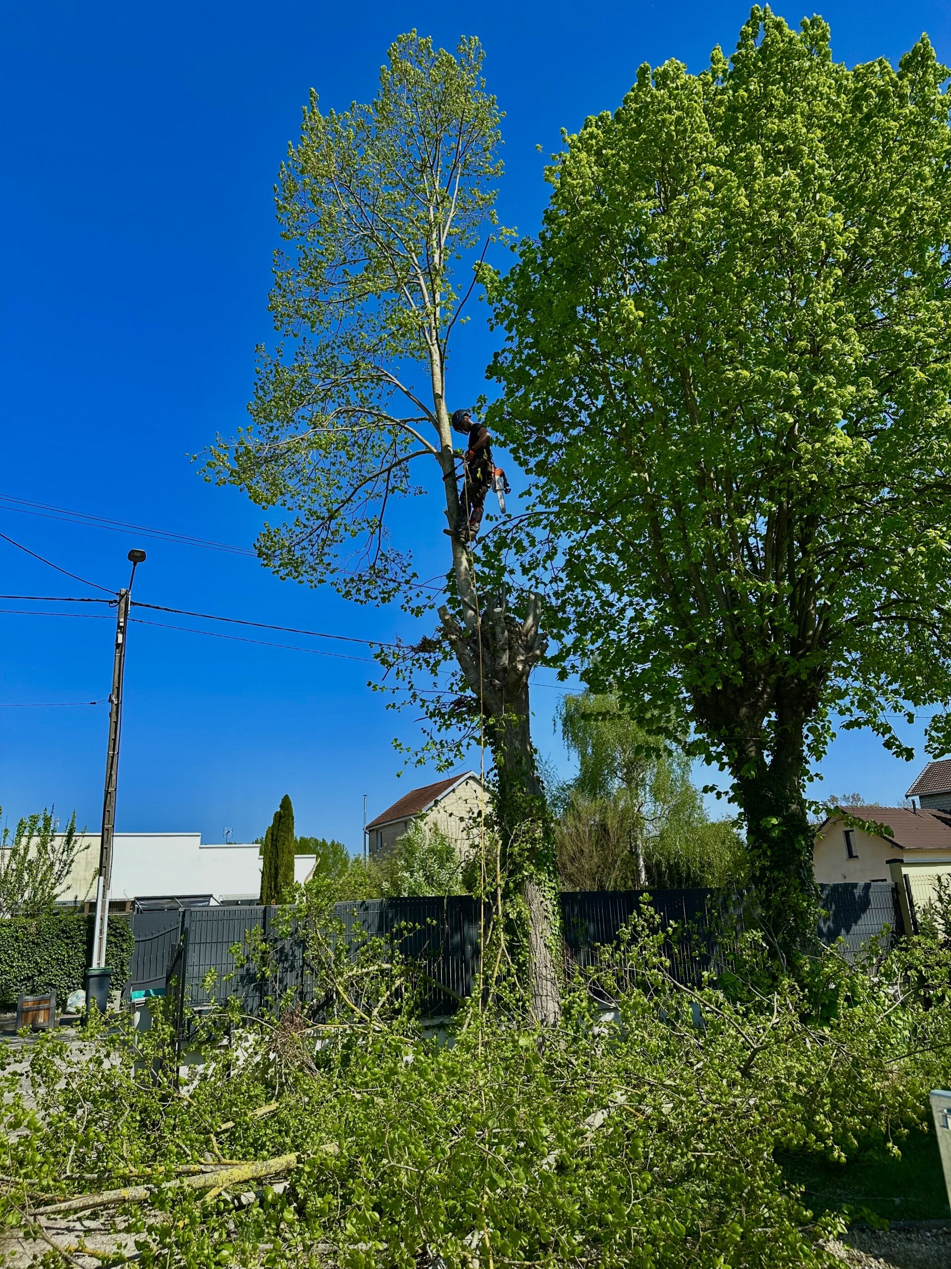 HAUTEUR & NATURE — ENTREPRISE SPÉCIALISÉE DANS L'ÉLAGAGE (TROYES | AUBE | YONNE)
