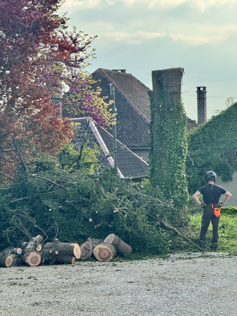 Hauteur et nature Troyes, Aube, Yonne, Abattage