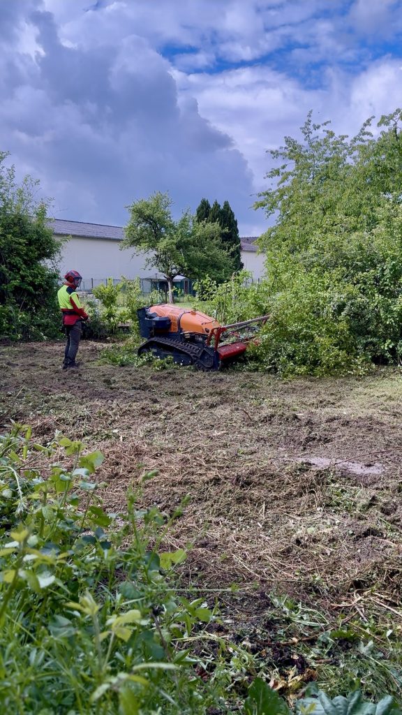 Débroussaillage d'un terrain en friche à Troyes avec un broyeur forestier télécommandé, Hauteur & Nature