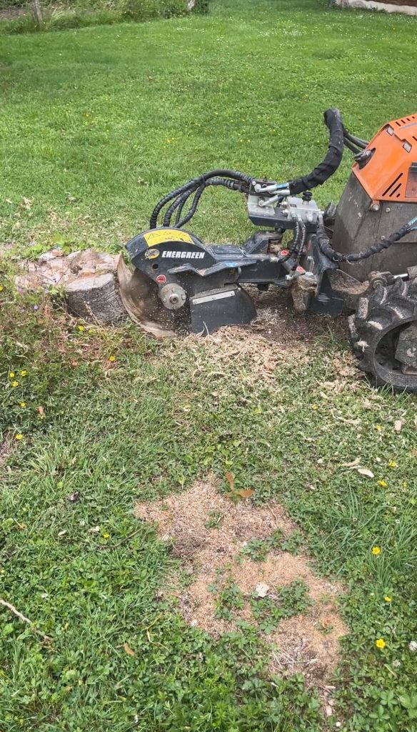 Rognage de souche à Troyes : rogneuse professionnelle Hauteur & Nature détruisant une souche sous le niveau du sol